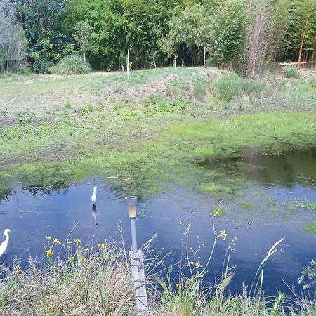 Pilmaiquen Villa Riachuelo Dış mekan fotoğraf