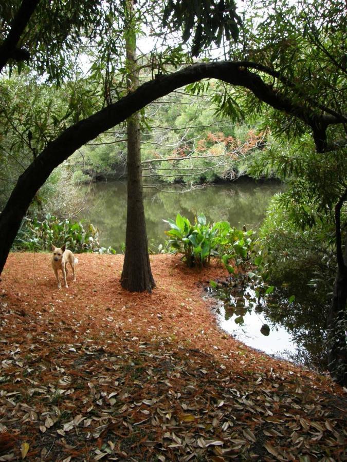 Pilmaiquen Villa Riachuelo Dış mekan fotoğraf