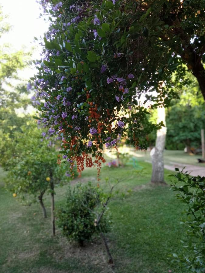Pilmaiquen Villa Riachuelo Dış mekan fotoğraf