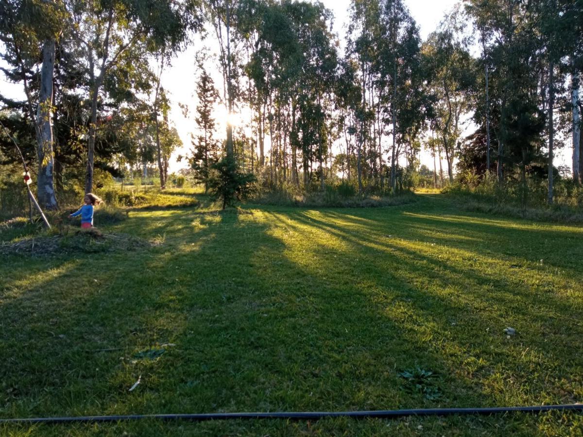 Pilmaiquen Villa Riachuelo Dış mekan fotoğraf