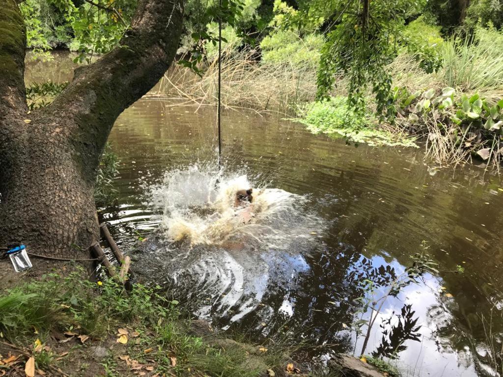 Pilmaiquen Villa Riachuelo Dış mekan fotoğraf