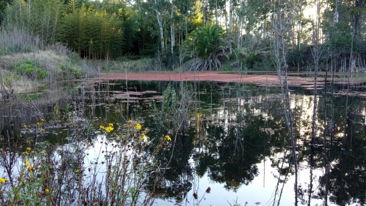 Pilmaiquen Villa Riachuelo Dış mekan fotoğraf