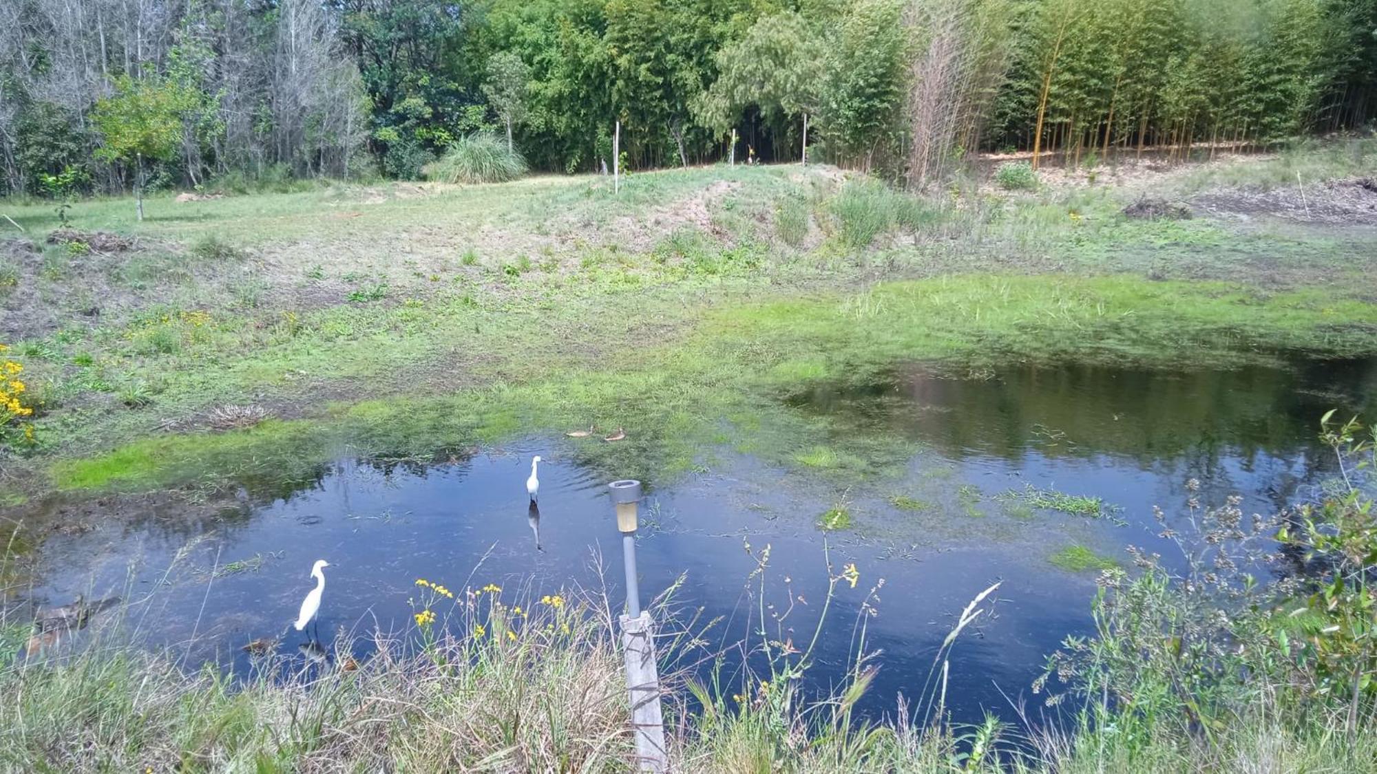Pilmaiquen Villa Riachuelo Dış mekan fotoğraf