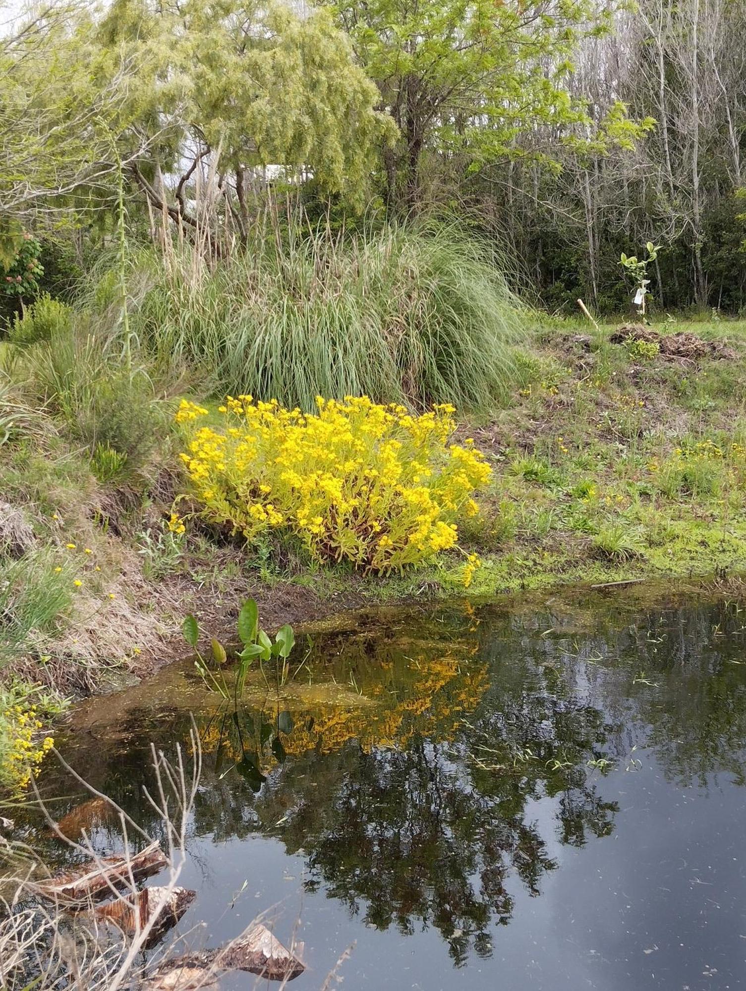 Pilmaiquen Villa Riachuelo Dış mekan fotoğraf