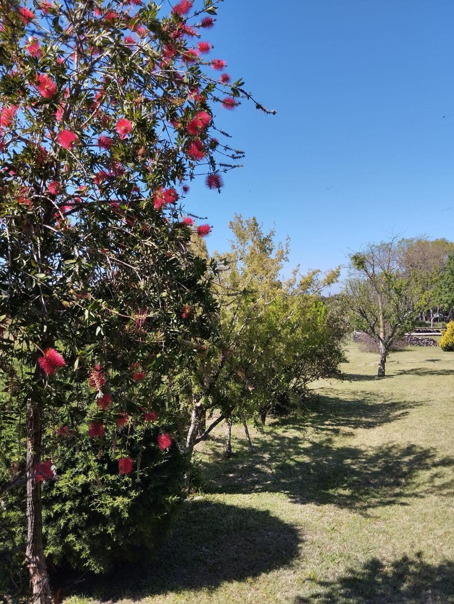 Pilmaiquen Villa Riachuelo Dış mekan fotoğraf