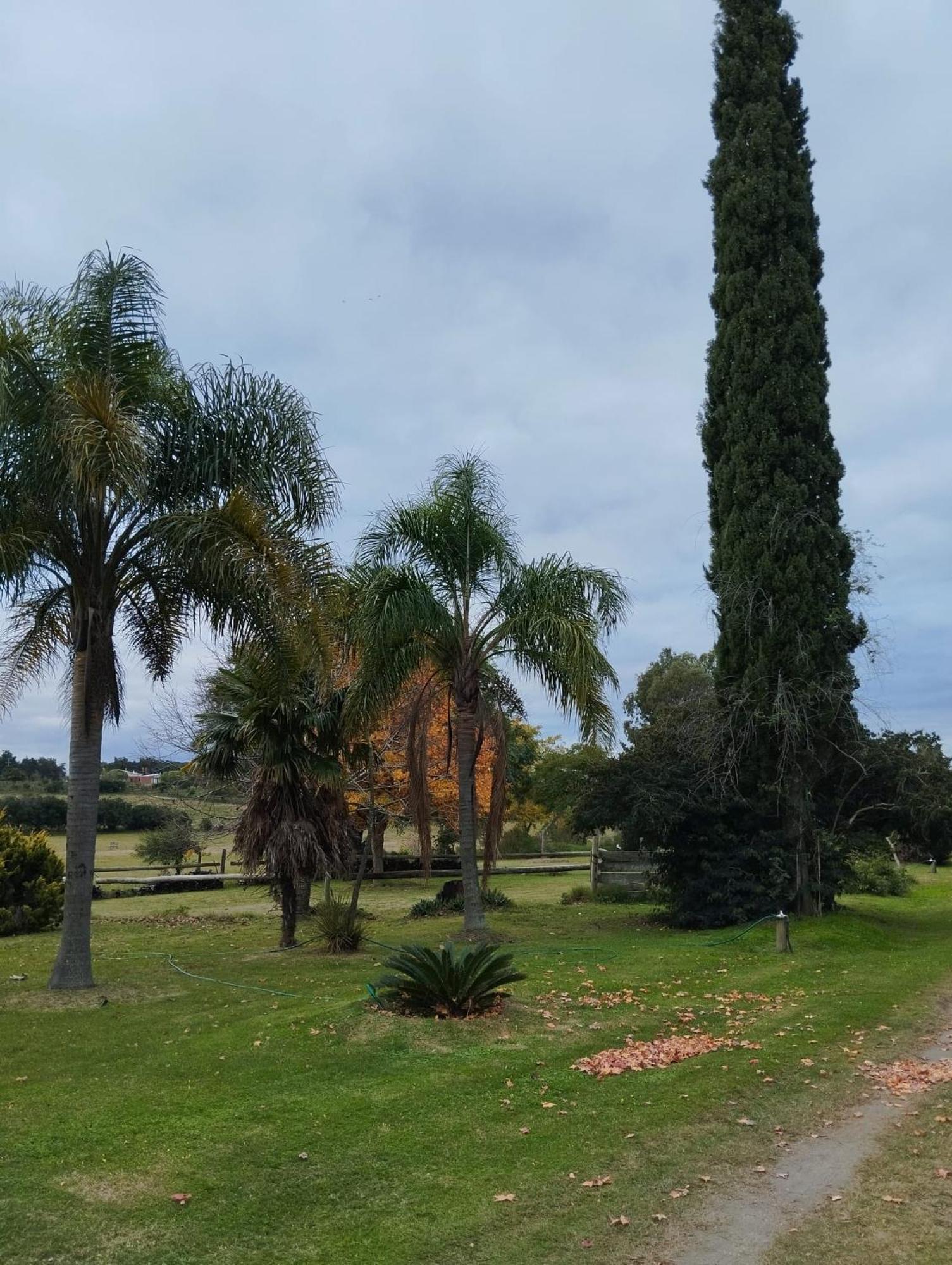 Pilmaiquen Villa Riachuelo Dış mekan fotoğraf